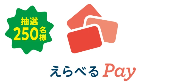 えらべるPay 1,000ポイント